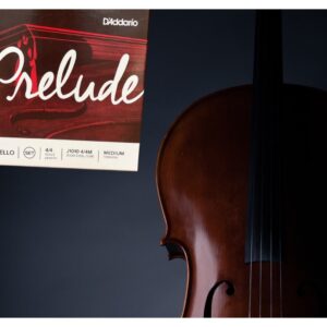 أوتار تشيلو الاحترافية الأصلية من دداريو Daddario Cello Strings